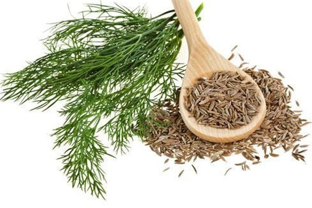 Loại rau gia vị bán khắp chợ không ngờ lại có nhiều tác dụng quý